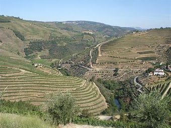 Hotel Rural Da Quinta Do Silval