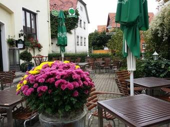 Hotel-landgasthof Gr�ner Baum - Dittigheim