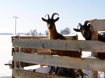 Agroturismo Paulhof Am Chiemsee