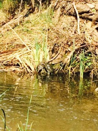 Agroturismo Finca El Bramadero