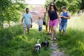 Humble Bee Farm Glamping
