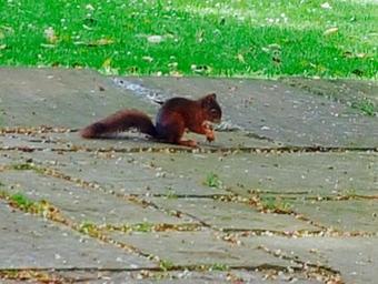 Hostal The Shore House