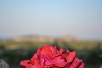 Apartamento Dimitras House