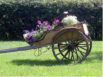 Bed & Breakfast �ngens G�rd