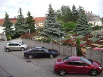 Corvina Hotel-restaurant