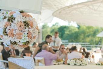 Hotel Plavnica Eco Resort