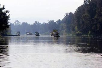 La Quinta De Xochimilco