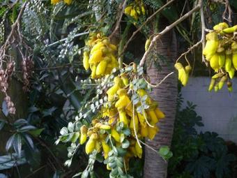 Apartamento 49 On Jans Beach Break