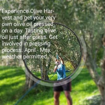 Bed & Breakfast 9 Senses Wellness Retreat