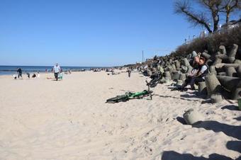 Hostal Apartamenty Rim Nad Morzem, Dziwn�wek