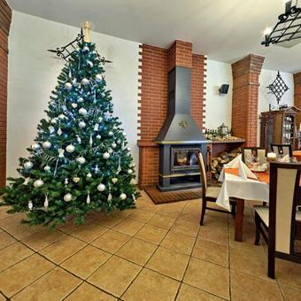 Hostal O?rodek Morsko Plus