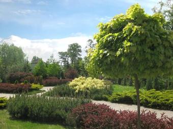 Hotel Ku?nia Napoleo?ska