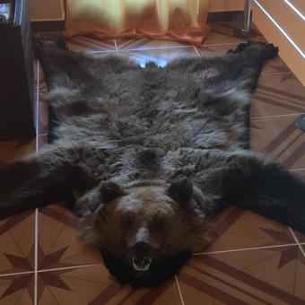 Hostal Becze Vanda Vendeghaz