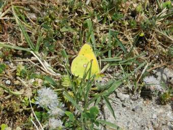Quinta Do Salgueiro B&B - Turismo Rural