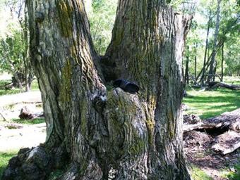 Cottage Baikalskaya Podkova