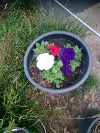 Hostal Khosta-progress Guest House