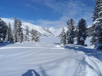 ????? ????????? ?????? "???????"