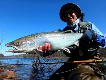 Hostal Guesthouse In Varzuga