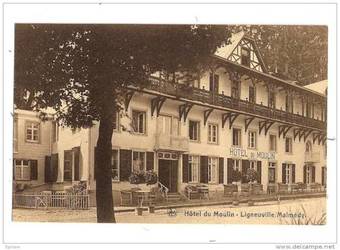 Hotel Du Moulin