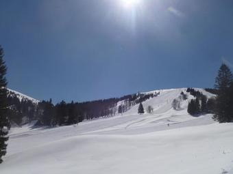 Hostal Apartments And Rooms Tolc