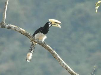 Hotel Baanraisooksangchan