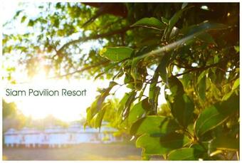 Hotel Bamboo Grove Chiangmai