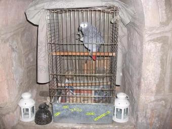 Posada Sebile Han?m Kona??