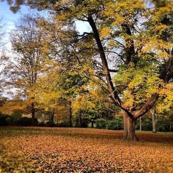 Bed & Breakfast Inn At Fox Hill Farm