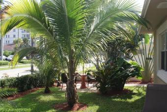 Hotel Atlantic Shores Vacation Villas