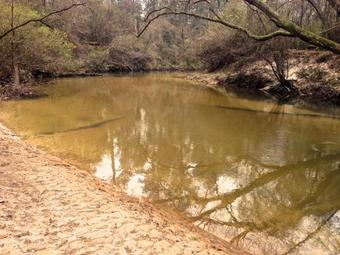 Bed & Breakfast The River Chalet