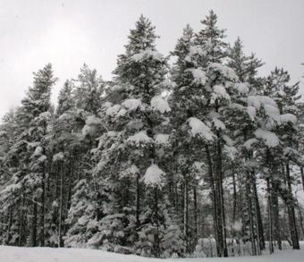 Stickley Lodge Getaway