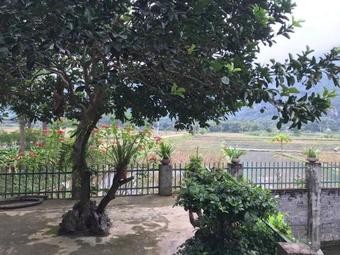 Bed & Breakfast Th?o Homestay