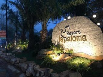 Ver fotos