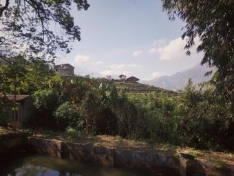 Mooc's Homestay