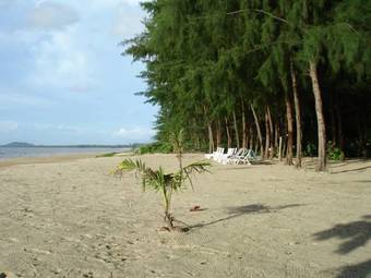 Cousin Koh Kho Khao Bungalow