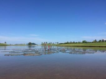 Hotel Mission Hills Phuket Golf Resort