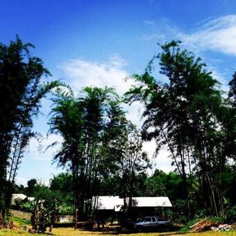 Hotel Chiang Dao Hut Resort