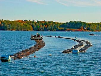 Nebi, The Floating Hotel