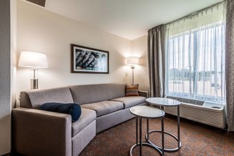 Hotel Fairfield Inn & Suites By Marriott St. Joseph Stevensville