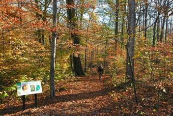 Hotel Spring Mill Inn
