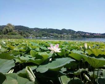 Hotel Meubl� Giardino