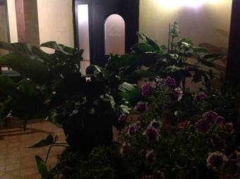 Bed & Breakfast L' Aia Antica