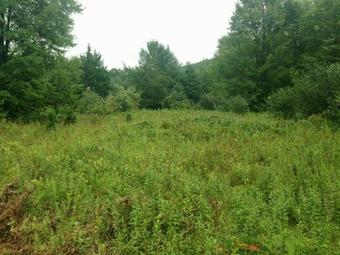 Tentrr - Clove Mountain Meadow