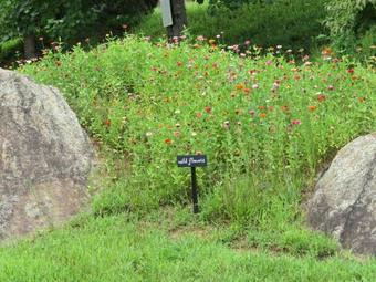 Lodge Southern Comfort Lakeside Cabin Resort