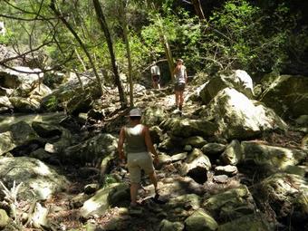 Elshaddai Game Lodge