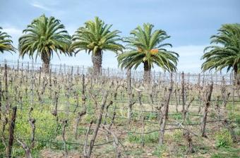 Agroturismo Arendsig Farmhouse