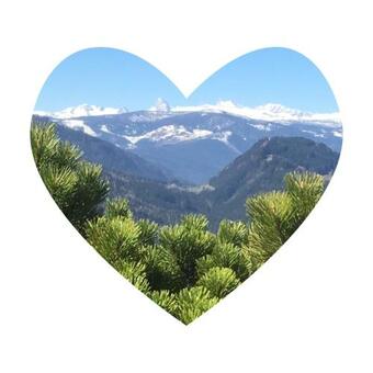 Apartamento Gasthof Dachsteinblick