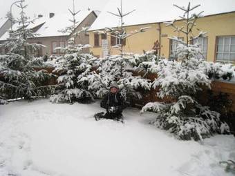 Hotel-hauensteiner-hof