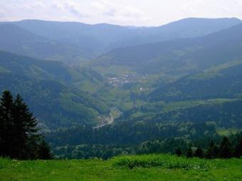 Apartamento Ferienwohnung Treyer