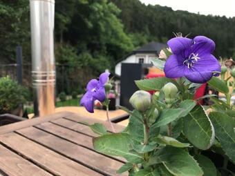 Apartamento Ferienwohnung M�scher Bahnhof